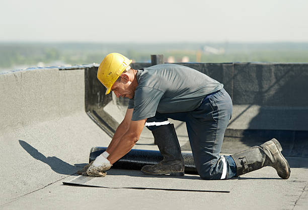 Insulation Replacement Services in Carbon Hill, AL